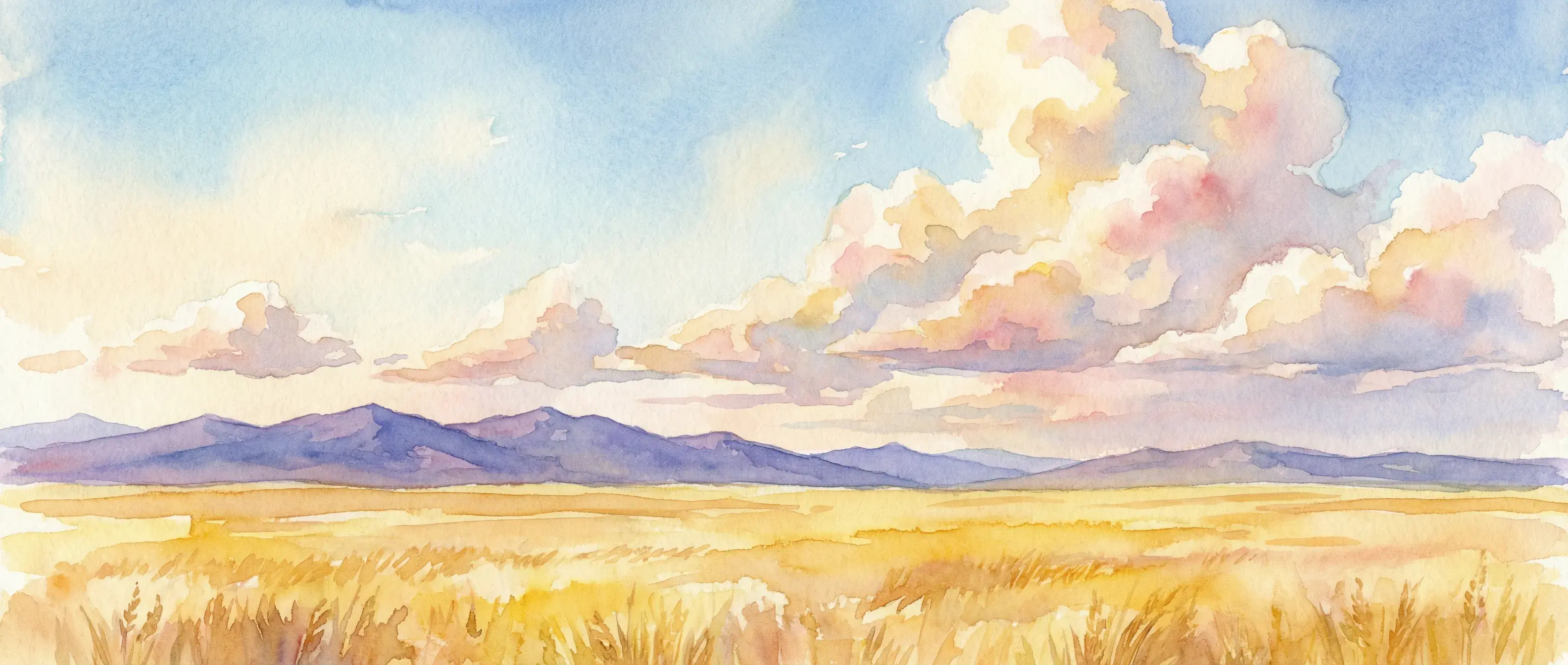 Montana landscape